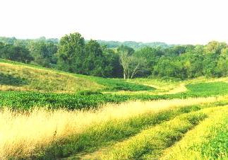 Habitat at Strut -N- Rut